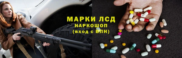 ГАЛЛЮЦИНОГЕННЫЕ ГРИБЫ Куртамыш