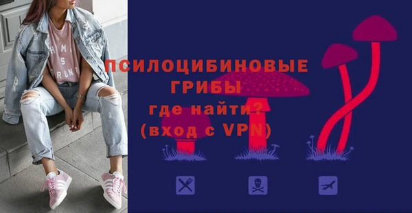 дмт Няндома
