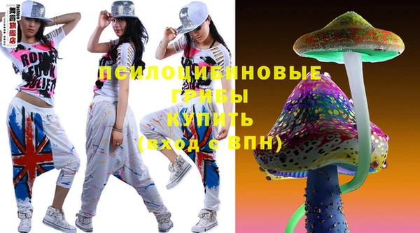 бошки Осташков
