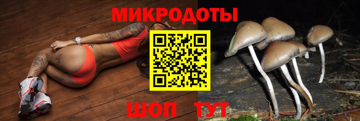 Галлюциногенные грибы Psilocybe  Вход с VPN  Сокол 